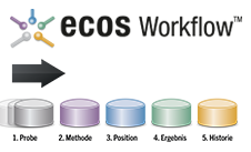ecos Workflow